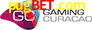 Gaming License